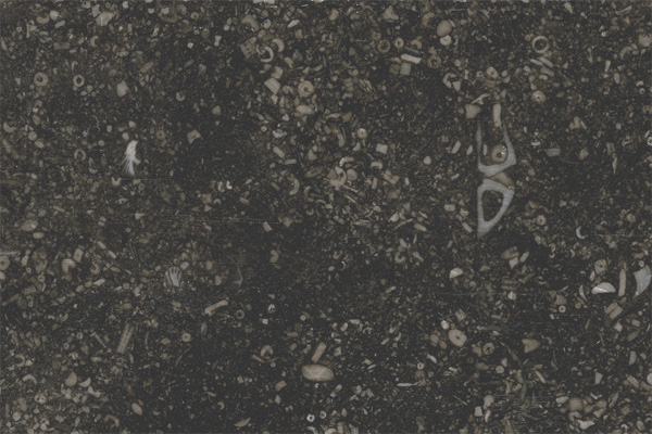 Povrchová úprava Honed - BlackLimestone