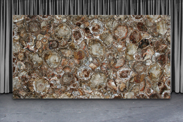 Náhled deskoviny - BrownPetrifiedWood