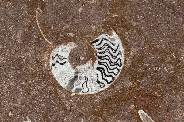 Povrchová úprava Riven - GrandeFossile